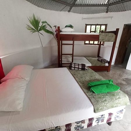 Guest House Great Hostels Amazon Puyo Exteriér fotografie