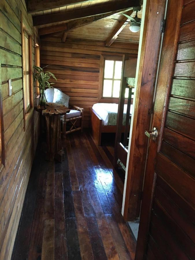 Guest House Great Hostels Amazon Puyo Exteriér fotografie