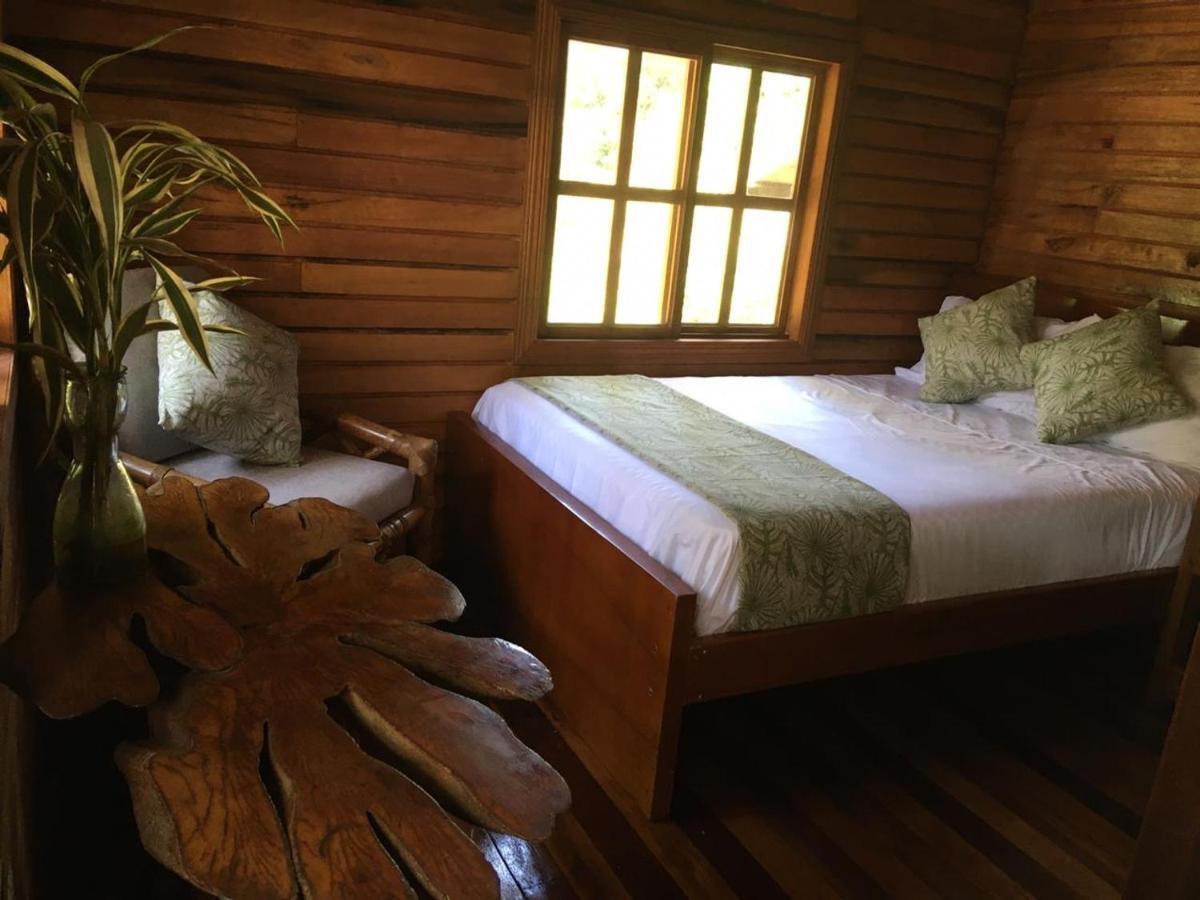 Guest House Great Hostels Amazon Puyo Exteriér fotografie